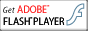 Get ADOBE FLASH PLAYER